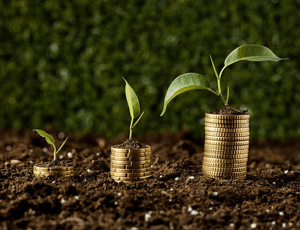 Growth and investment: plants and finance
